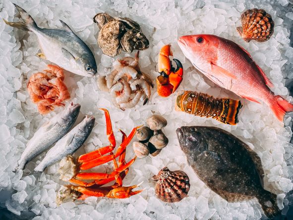 Mořské plody položené na ledu – krevety, škeble, krab atd.